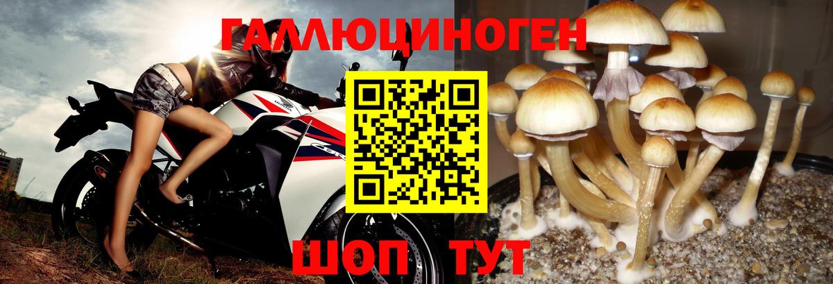 Галлюциногенные грибы мицелий  Вход с VPN  Балабаново  Галлюциногенные грибы Cubensis 